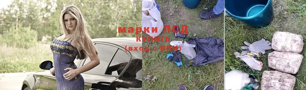 гидропоника Алзамай